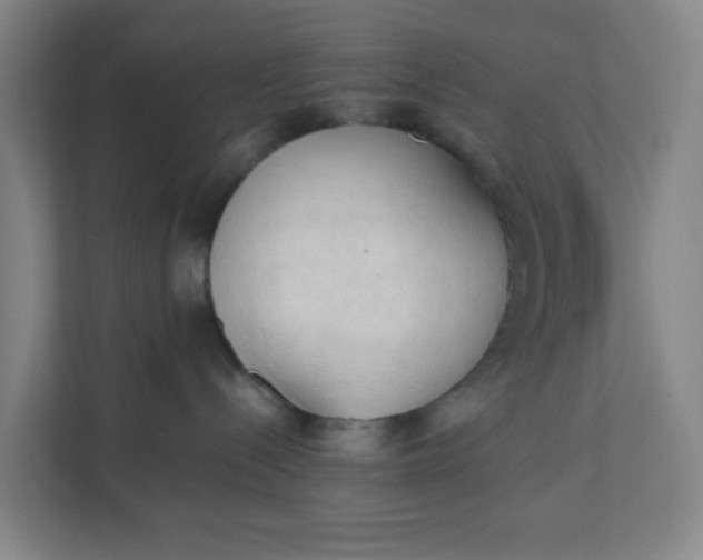 X0000111950288200908101228