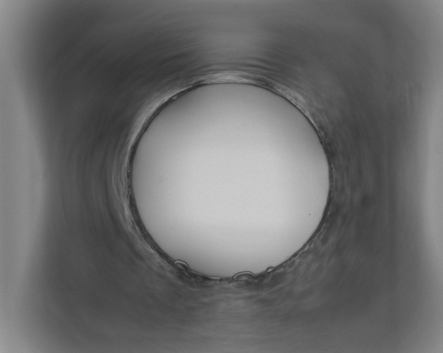 X0000111950289200908101228