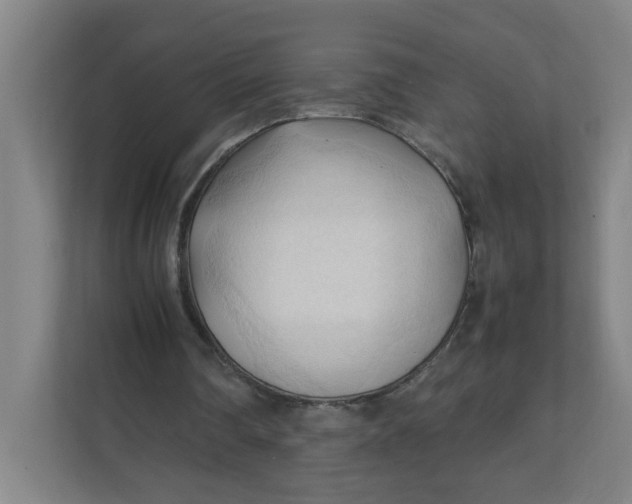 X0000111950290200908101228