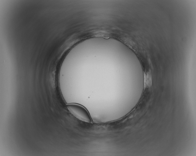 X0000111950291200908101228