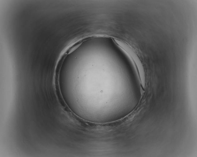 X0000111950292200908101228