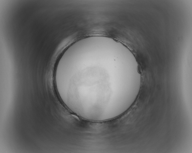 X0000111950293200908101228