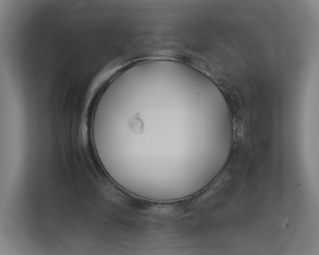 X0000111950294200908101228