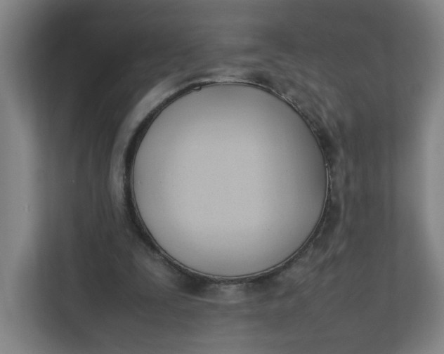 X0000111950295200908101228