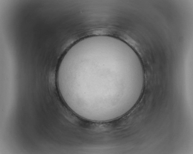 X0000111950297200908101228