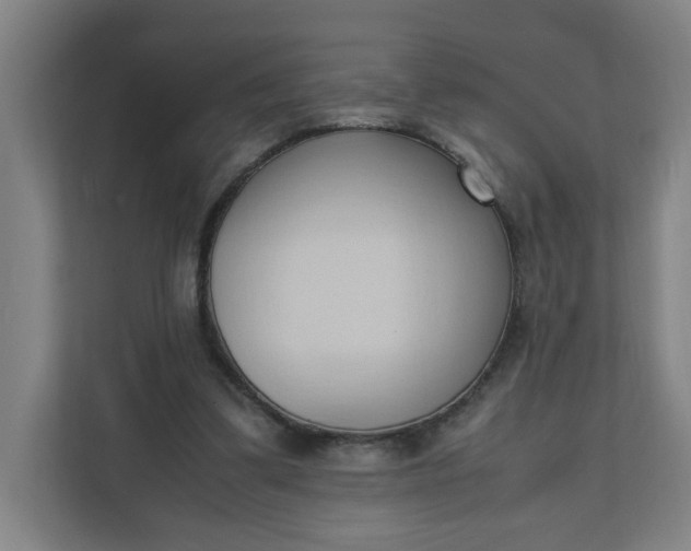 X0000111950299200908101228