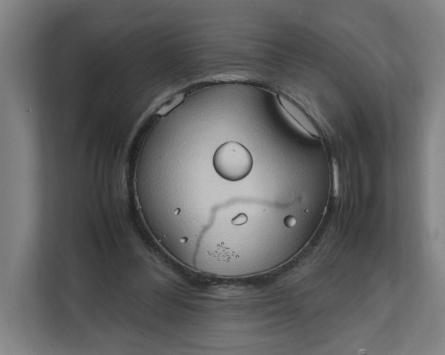 X0000111950300200908101228