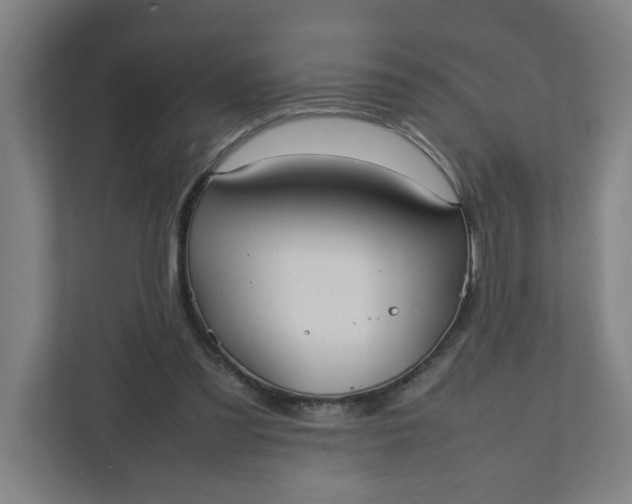 X0000111950301200908101228