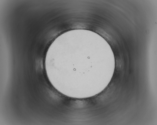 X0000111950302200908101228