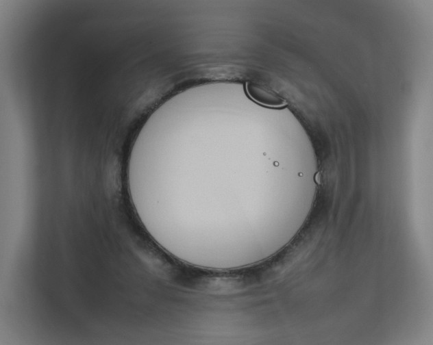 X0000111950303200908101228