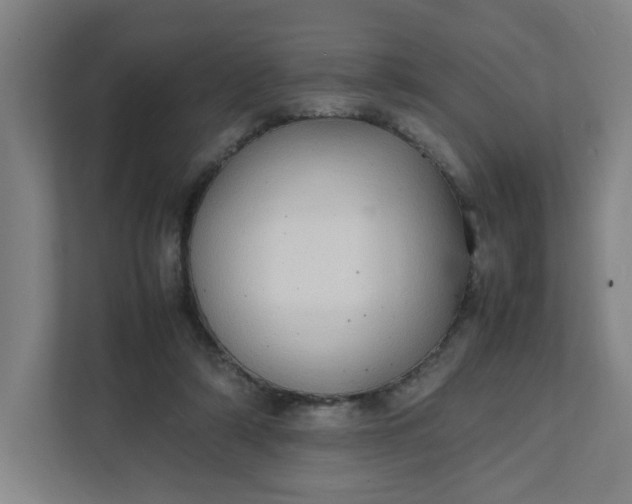 X0000111950306200908101228