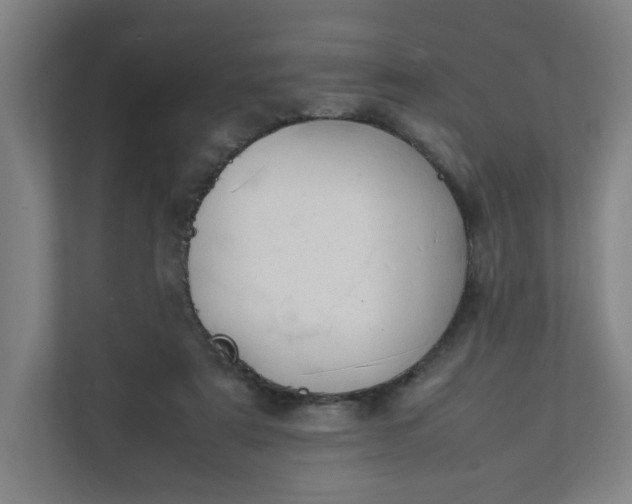 X0000111950307200908101228