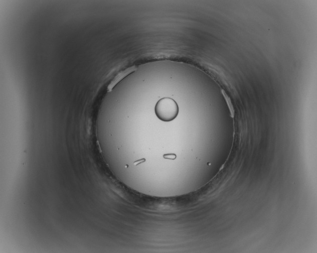 X0000111950308200908101227