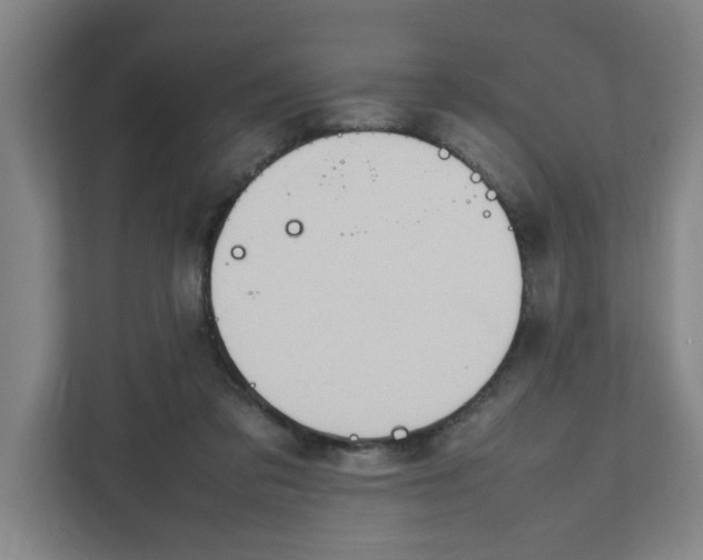 X0000111950309200908101227