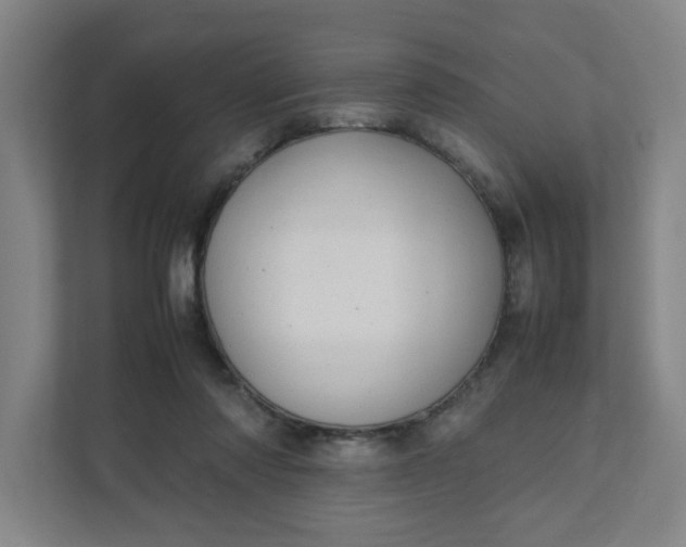 X0000111950310200908101227