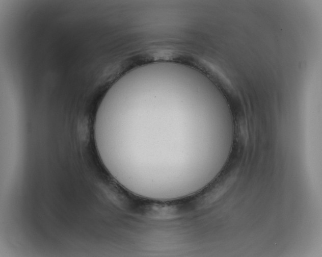 X0000111950311200908101227