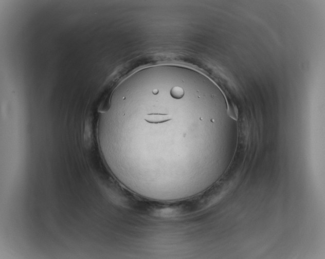 X0000111950312200908101227