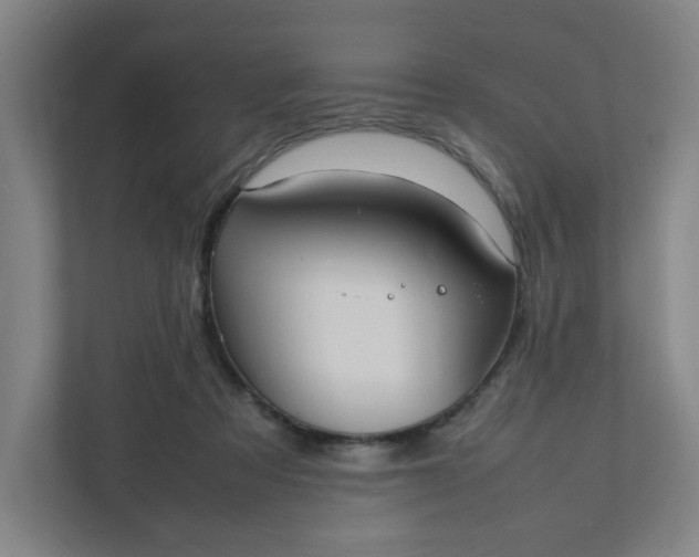 X0000111950313200908101227