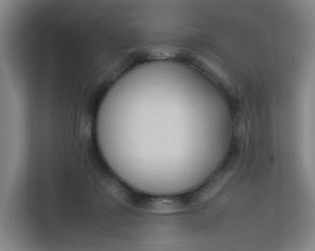 X0000111950315200908101227