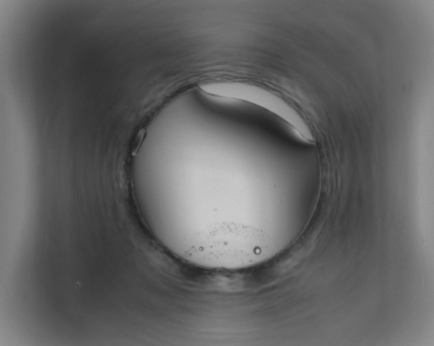 X0000111950317200908101227