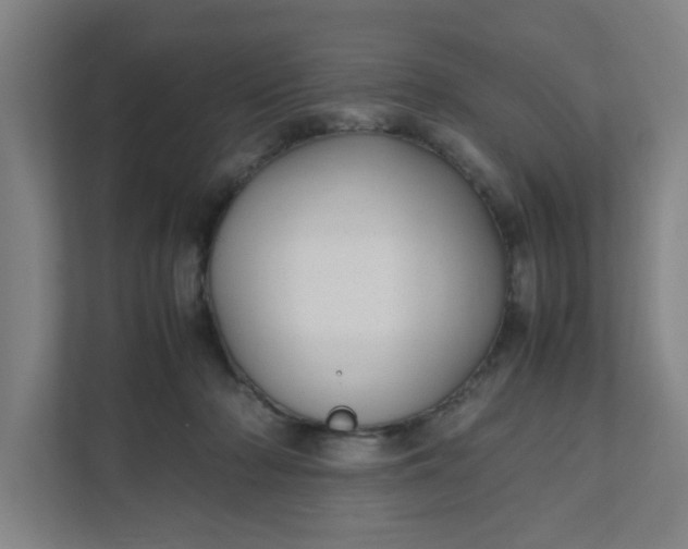 X0000111950318200908101227