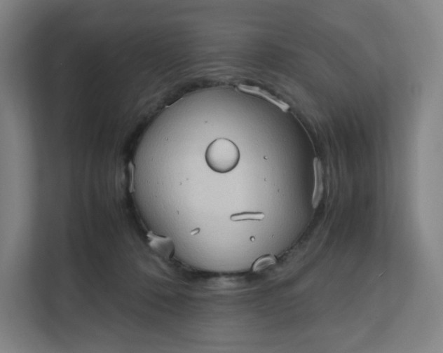 X0000111950320200908101227