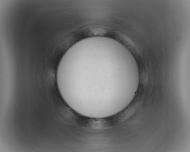 X0000111950321200908101227