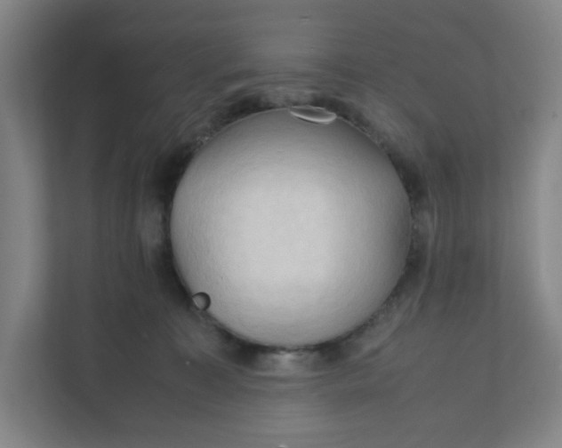 X0000111950323200908101227