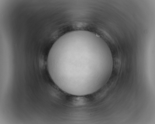 X0000111950324200908101227