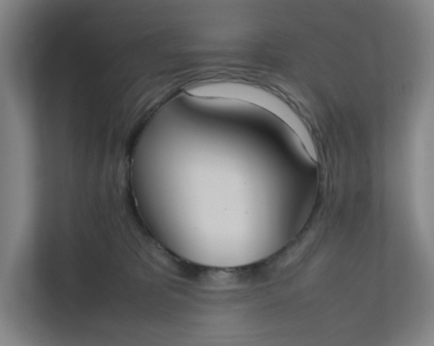 X0000111950325200908101227