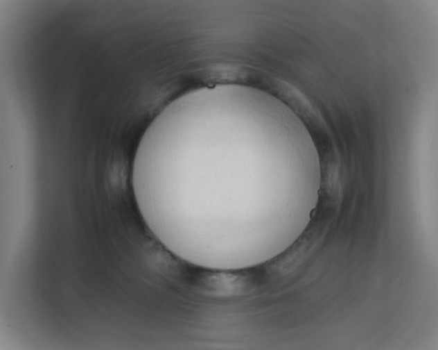 X0000111950326200908101227