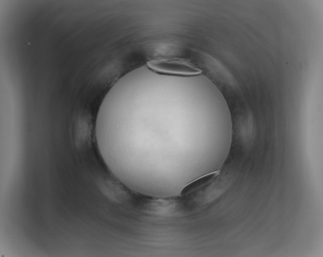 X0000111950328200908101227