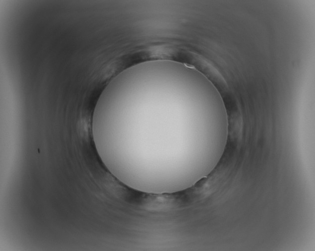 X0000111950329200908101227