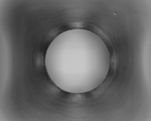 X0000111950330200908101227