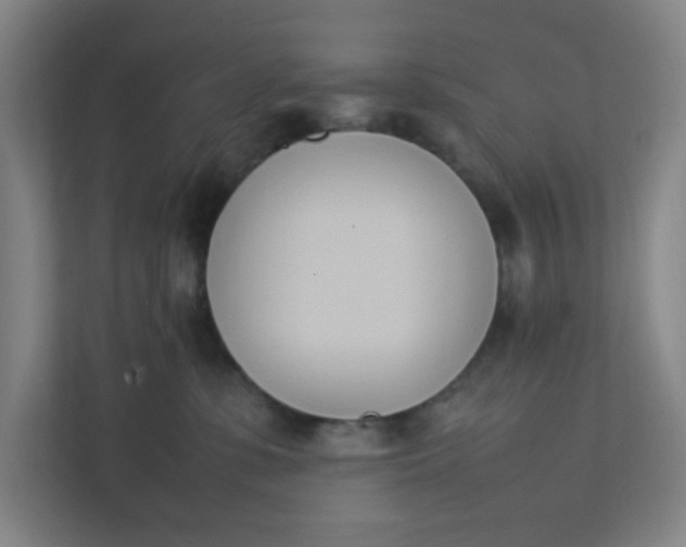 X0000111950331200908101227