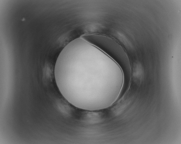 X0000111950332200908101227