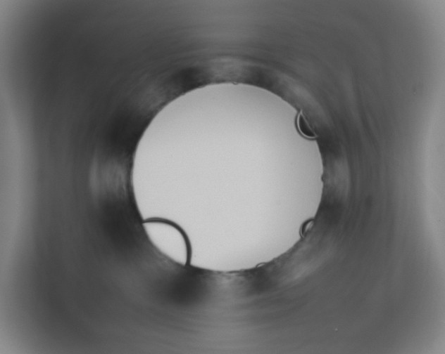 X0000111950333200908101227