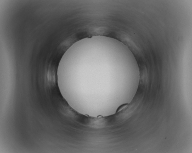 X0000111950334200908101227