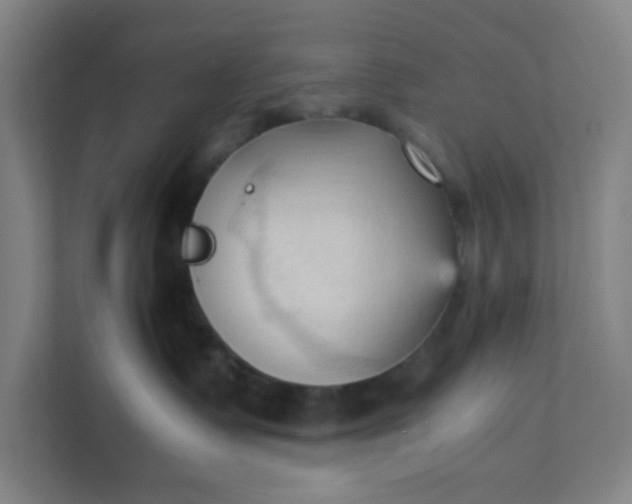 X0000111950335200908101227