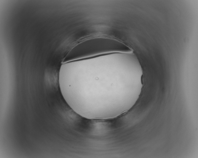 X0000111950336200908101227