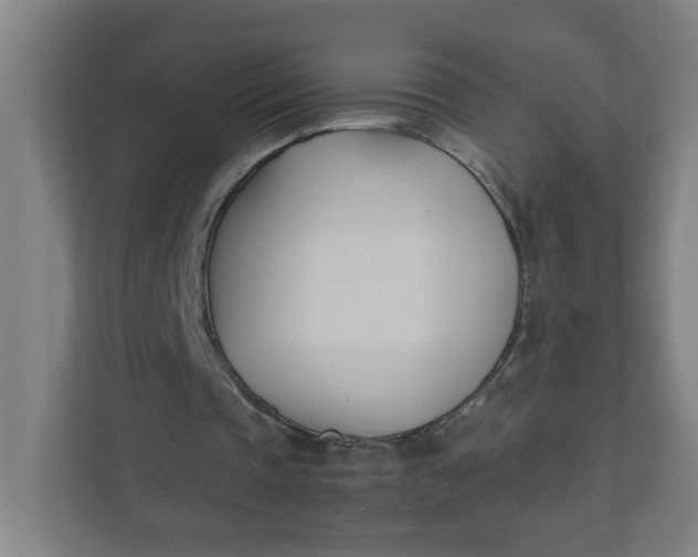 X0000111950337200908101227