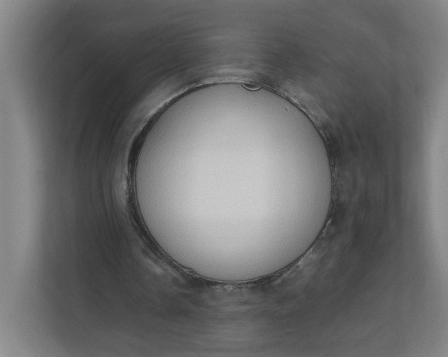 X0000111950338200908101227