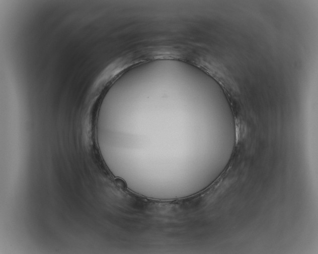 X0000111950339200908101227