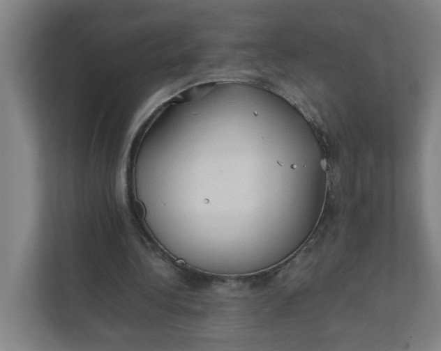 X0000111950340200908101227