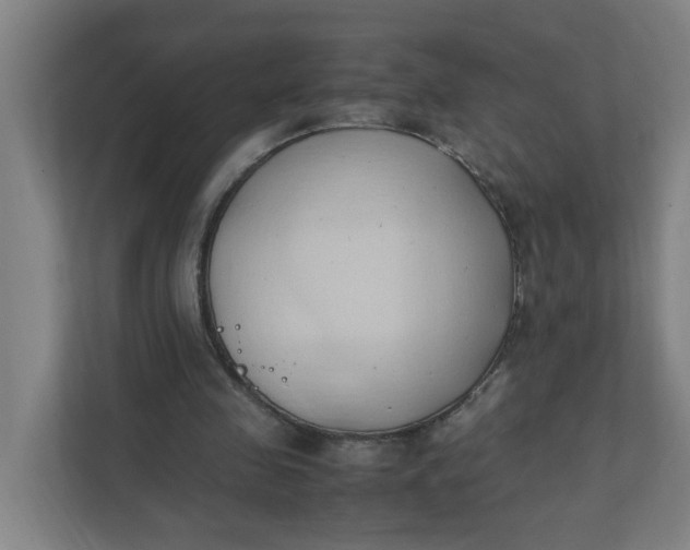 X0000111950341200908101227