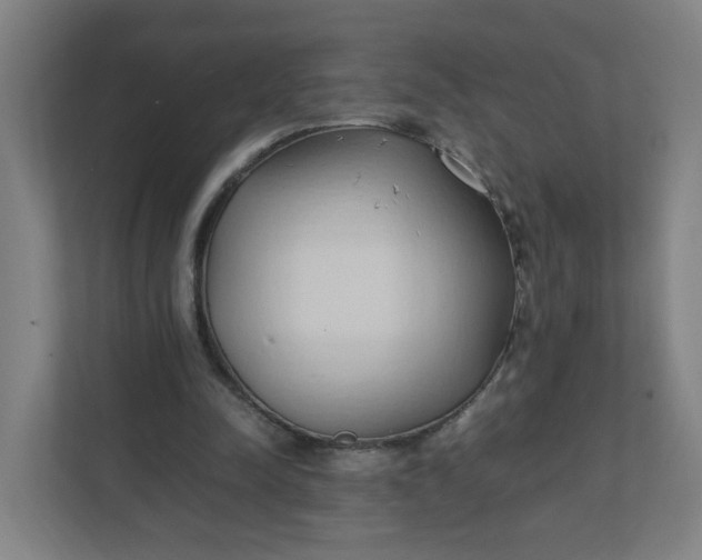 X0000111950342200908101227