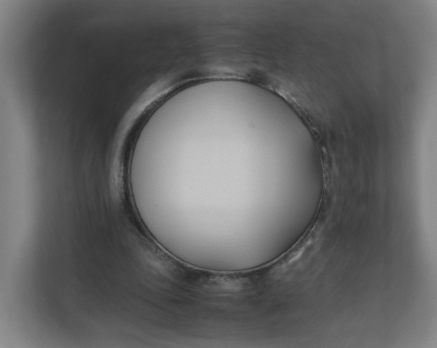 X0000111950343200908101227