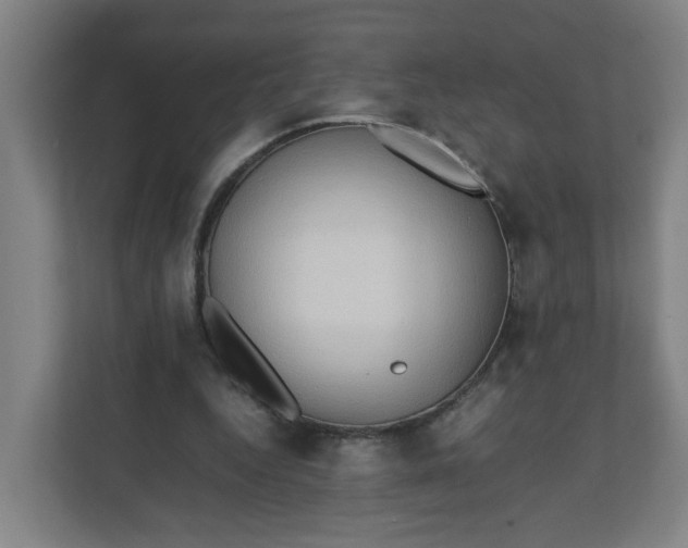 X0000111950344200908101227