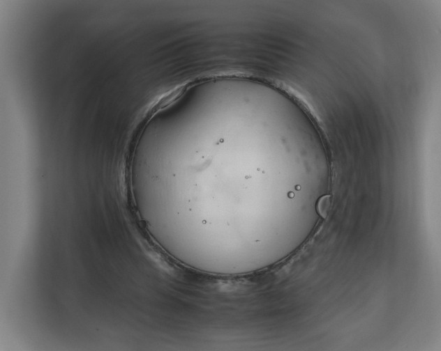 X0000111950345200908101227