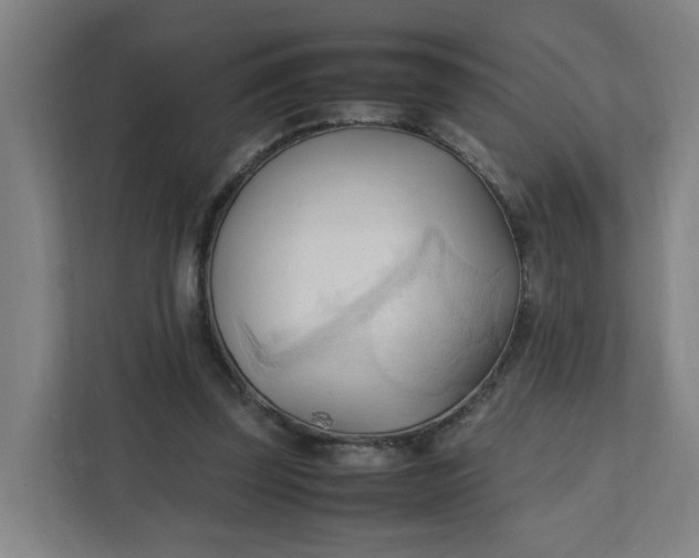 X0000111950347200908101227